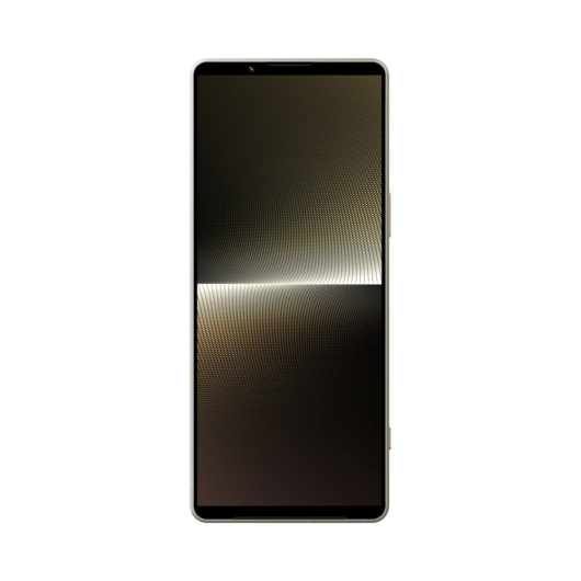 Sony Xperia 1 V 12/256Gb Global Серебристый